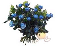  Ankara Anadolu �i�ek , �i�ek�i , �i�ek�ilik  11 adet mavi g�l �zel tanzim