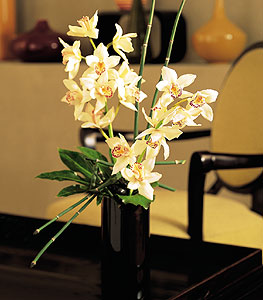 Ankara Anadolu iekiler  cam yada mika vazo ierisinde dal orkide