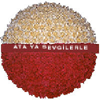 arma anitkabire - mozele i�in  Ankara Anadolu �i�ek g�nderme sitemiz g�venlidir 