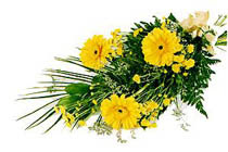 sari gerbera ve sari �i�ek   Ankara Anadolu Anadolu �nternetten �i�ek sipari�i 