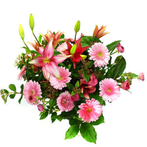 lilyum ve gerbera �i�ekleri - �i�ek se�imi -  Ankara Anadolu �i�ek g�nderme 