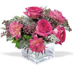  Ankara Anadolu cicekciler , cicek siparisi  cam i�erisinde 5 g�l 7 gerbera �i�egi
