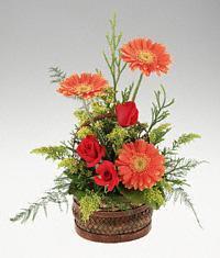  Ankara Anadolu cicekciler , cicek siparisi  sepet i�erisinde 3 g�l ve 3 gerbera tanzimi