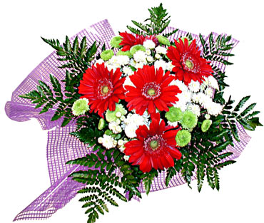 gerbera ve krizantem demeti  Ankara Anadolu �i�ek�i ma�azas� 