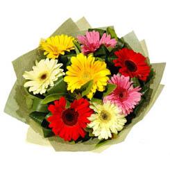 9 adet karisik gerbera demeti  Ankara Anadolu �i�ek ma�azas� , �i�ek�i adresleri 