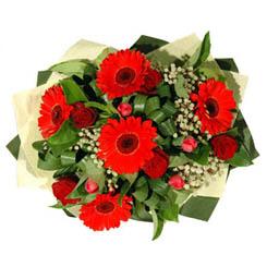  Ankara Anadolu ucuz �i�ek g�nder   5 adet kirmizi g�l 5 adet gerbera demeti