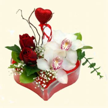  Ankara Anadolu hediye sevgilime hediye iek  1 kandil orkide 5 adet kirmizi gl mika kalp