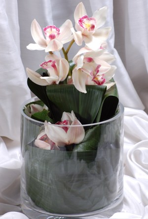  Ankara Anadolu internetten iek siparii  Cam yada mika vazo ierisinde tek dal orkide
