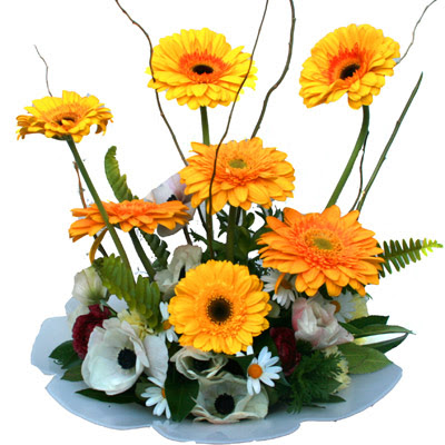 camda gerbera ve mis kokulu kir �i�ekleri  Ankara Anadolu �i�ek�i telefonlar� 