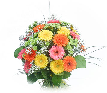13 adet gerbera �i�egi buketi  Ankara Anadolu online �i�ek g�nderme sipari� 