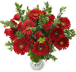 5 adet kirmizi g�l 5 adet gerbera aranjmani  Ankara Anadolu hediye �i�ek yolla 