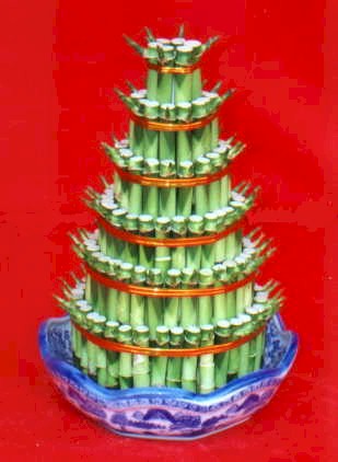 Lucky Bamboo sans melegi �i�egi  Ankara Anadolu �i�ek�iler 