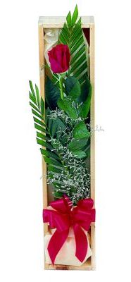 1 adet kutuda kirmizi g�l  Ankara Anadolu �i�ek g�nderme sitemiz g�venlidir 