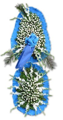  Ankara Anadolu online �i�ek g�nderme sipari�  d�g�n a�ilis �i�ekleri  Ankara Anadolu �i�ek sipari�i vermek 