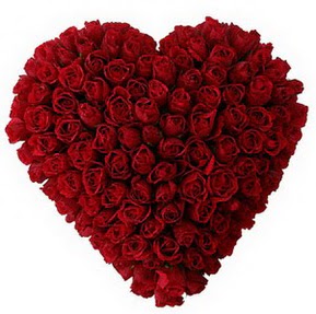  Ankara Anadolu �i�ek�i ma�azas�  muhte�em k�rm�z� g�llerden kalp �i�e�i