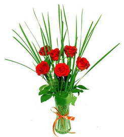  Ankara Anadolu �i�ek , �i�ek�i , �i�ek�ilik  6 adet k�rm�z� g�llerden vazo �i�e�i