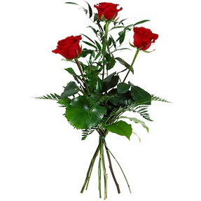  Ankara Anadolu uluslararas� �i�ek g�nderme  3 adet k�rm�z� g�lden buket