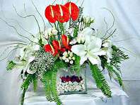  Ankara Anadolu �i�ek ma�azas� , �i�ek�i adresleri  Anthurim Kazablanka  g�l