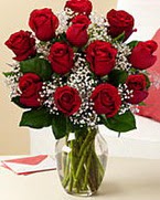 Sevgilime hediye 9 adet 1.ci kalite g�l  Ankara Anadolu anneler g�n� �i�ek yolla 