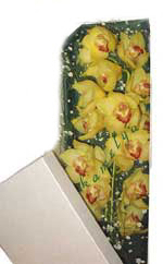  Ankara Anadolu �i�ek g�nderme  Kutu i�erisine dal cymbidium orkide