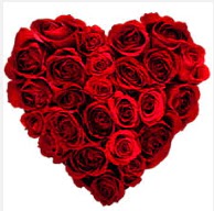  Ankara Anadolu uluslararas� �i�ek g�nderme  19 adet k�rm�z� g�lden kalp tanzimi