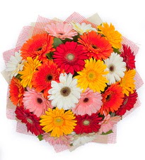 15 adet renkli gerbera buketi  Ankara Anadolu yurtiçi ve yurtdışı çiçek siparişi 