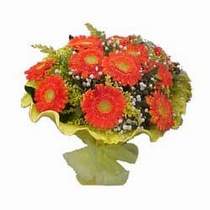  Ankara Anadolu �i�ek yolla  11 adet se�me gerbera �i�egi