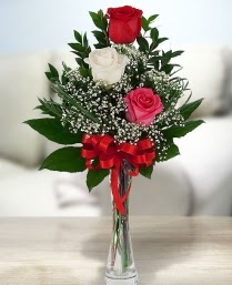 Camda 2 kırmızı 1 beyaz gül  Ankara Anadolu ucuz çiçek gönder 