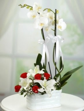 2 Dall beyaz orkide 5 krmz gl ve 3 kazablanka