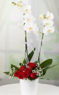 2 dall beyaz orkide 7 adet krmz gl  Ankara Anadolu 14 ubat sevgililer gn iek 