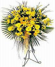 Ankara Anadolu yurti�i ve yurtd��� �i�ek sipari�i  Sari kazablanka Ferforje