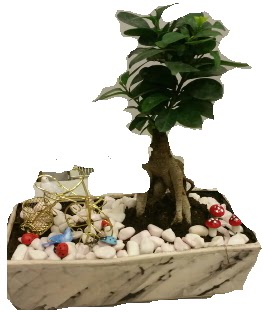Japon aac bonsai sat  Ankara Anadolu anneler gn iek yolla 