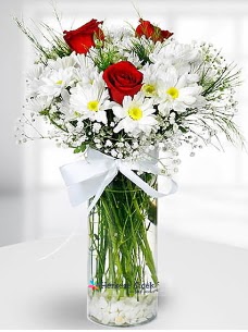 3 k�rm�z� g�l ve krizantemler camda  Ankara Anadolu �i�ek ma�azas� , �i�ek�i adresleri 
