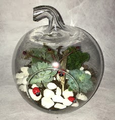 K���k terrarium elma 3 kakt�s  Ankara Anadolu �i�ek ma�azas� , �i�ek�i adresleri 