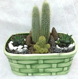 Seramik i�erisinde 5 kakt�sl� terrarium  Ankara Anadolu �i�ek g�nderme sitemiz g�venlidir 