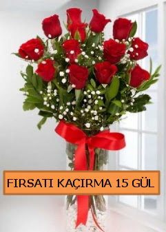  15 İthal kırmızı gül büyük başlı orjinal  Ankara Anadolu çiçek siparişi sitesi 