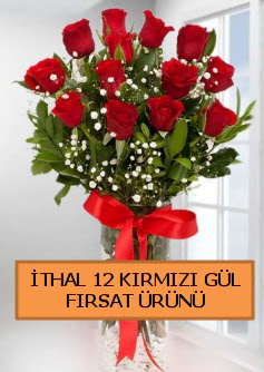  �thal k�rm�z� 12 adet kaliteli g�l  Ankara Anadolu ucuz �i�ek g�nder 