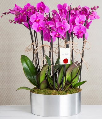 11 dallı mor orkide metal vazoda  Ankara Anadolu çiçek gönderme sitemiz güvenlidir 