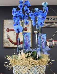 4 dall zel mavi orkide  Ankara Anadolu iek siparii vermek 