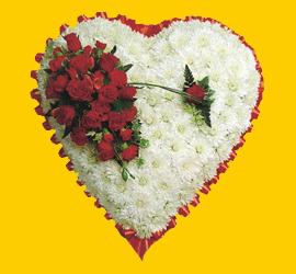  Ankara Anadolu �i�ek yolla , �i�ek g�nder , �i�ek�i   1.20m x 1.20m  Gerbera G�ller