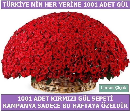 1001 Adet krmz gl Bu haftaya zel  Ankara Anadolu Anadolu nternetten iek siparii 