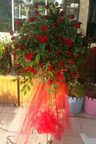 71 adet k�rm�z� g�lden ferf�rje �i�e�i  Ankara Anadolu �i�ek sat��� 