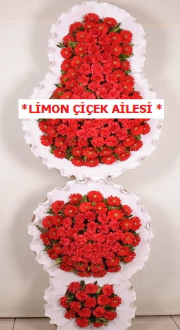 3 katl� k�rm�z� d���n a��l�� �i�e�i  Ankara Anadolu �i�ek g�nderme 