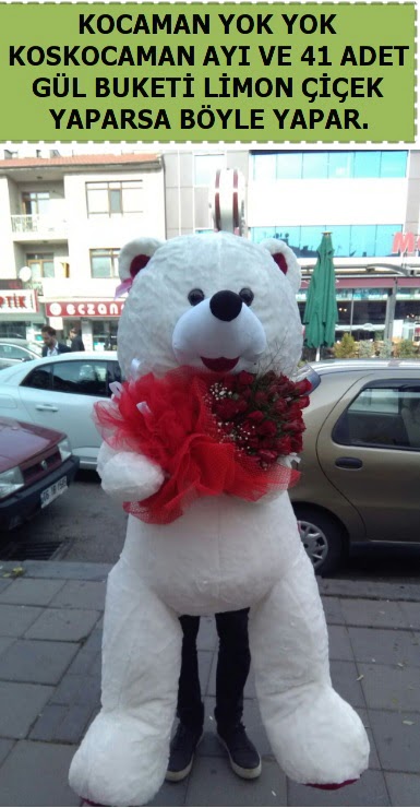 Koskocaman beyaz ay� ve 25 adet g�l  Ankara Anadolu �i�ek sipari�i sitesi 