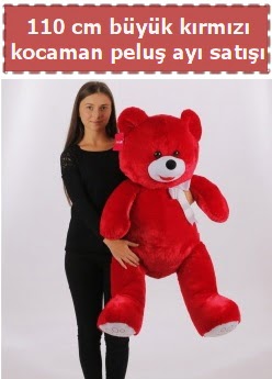 110 cm b�y�k k�rm�z� kocaman pelu� ay�  Ankara Anadolu �i�ek g�nderme 