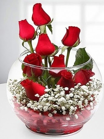 Kırmızı Mutluluk fanusta 9 kırmızı gül  Ankara Anadolu çiçek siparişi sitesi 