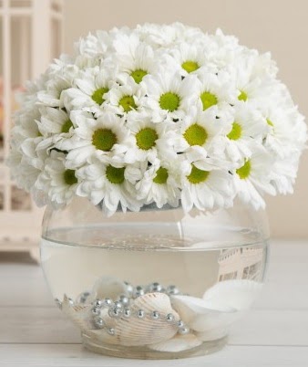 Fanusta beyaz Papatya  Ankara Anadolu çiçek satışı  
