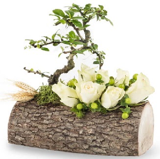 Doal ktkte bonsai aac ve 7 beyaz gl  Ankara Anadolu iek gnderme sitemiz gvenlidir 
