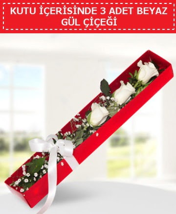 Kutu i�erisinde 3 adet beyaz g�l �i�e�i  Ankara Anadolu cicek , cicekci 