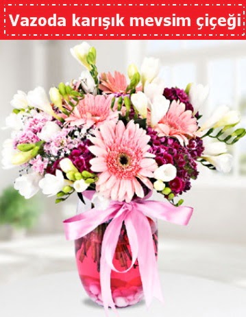 Vazoda kar���k mevsim �i�e�i  Ankara Anadolu �i�ek , �i�ek�i , �i�ek�ilik 